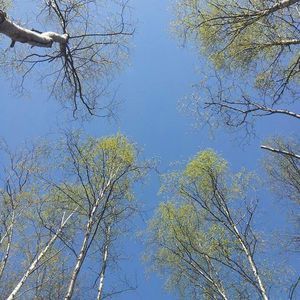 Meet your Posher, Michaela